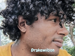 Drakewilson