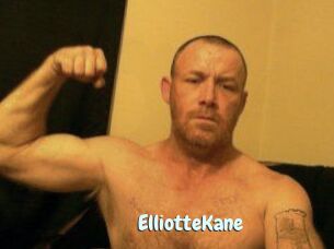 Elliotte_Kane