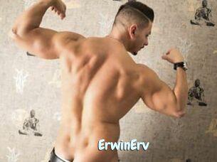 ErwinErv