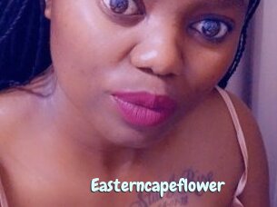 Easterncapeflower