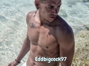 Eddbigcock97