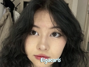 Elgacarls