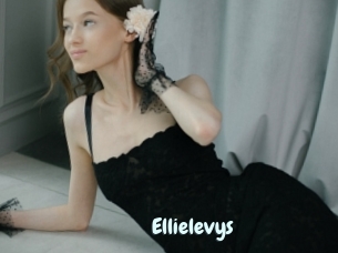 Ellielevys