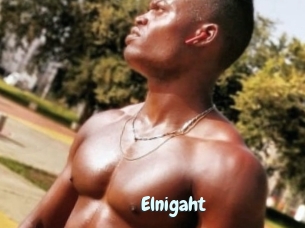 Elnigaht
