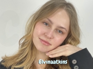 Elvinaatkins