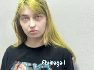 Elvinagail