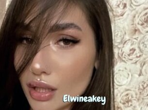 Elwineakey