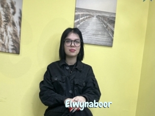 Elwynaboor