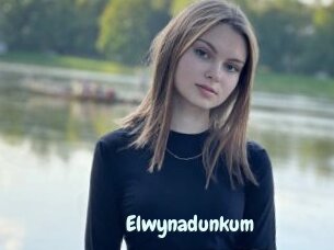 Elwynadunkum