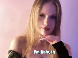 Emiliabush