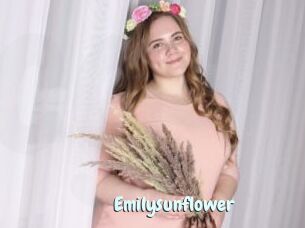 Emilysunflower