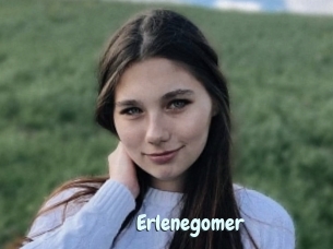 Erlenegomer