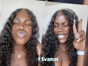 Evamae