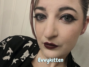 Evvykitten