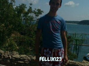 FELL1X123