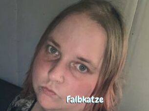 Falbkatze