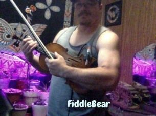FiddleBear