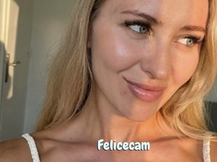 Felicecam