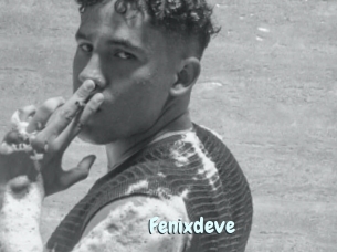 Fenixdeve