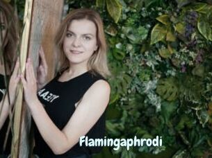 Flamingaphrodi