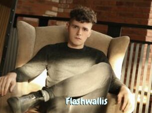 Flashwallis