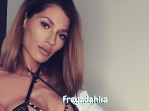 Freyadahlia