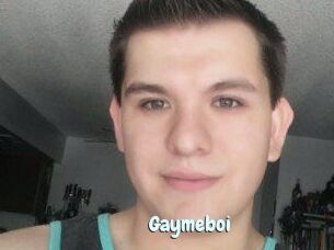 Gaymeboi
