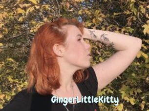 GingerLittleKitty