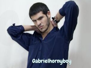 Gabrielhornyboy