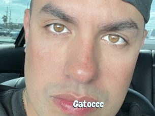 Gatoccc