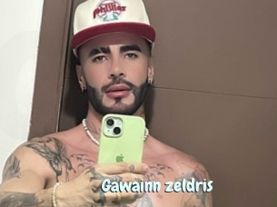 Gawainn_zeldris