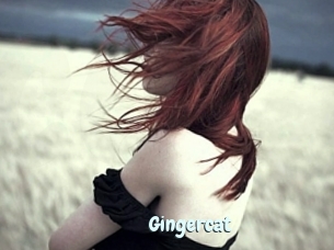 Gingercat