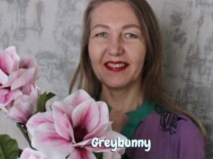 Greybunny
