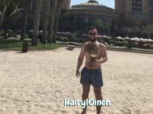 Hairy10inch