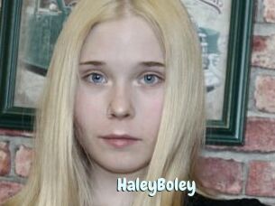 HaleyBoley