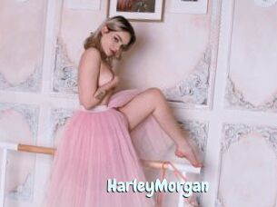 HarleyMorgan