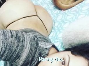 Harley_fox