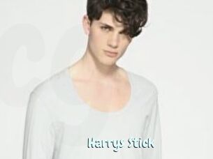 Harrys_Stick