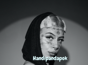 Handipandapok