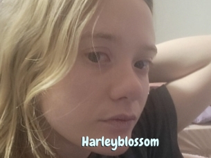 Harleyblossom