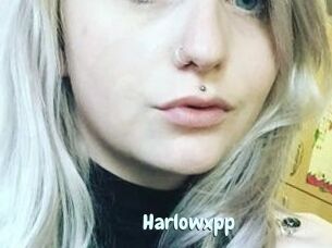 Harlowxpp