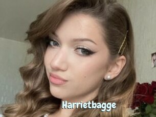 Harrietbagge
