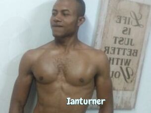 Ianturner