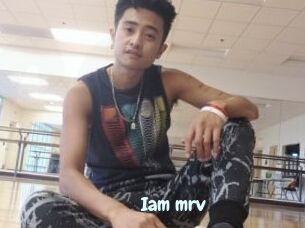 Iam_mrv