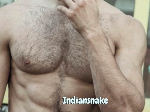 Indiansnake