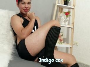 Indigo_cox
