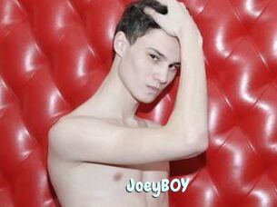 JoeyB0Y