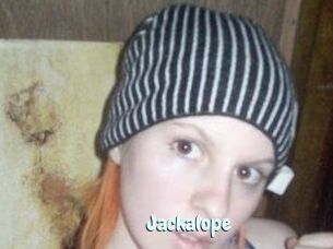 Jackalope