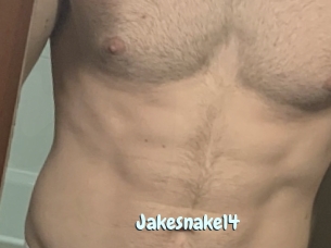 Jakesnake14