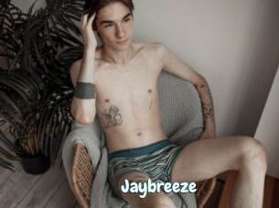 Jaybreeze